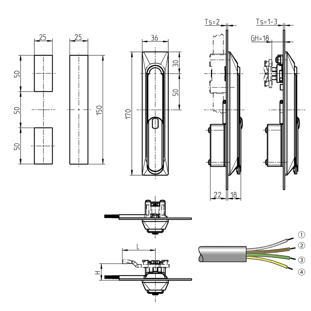 Swinghandle 1150 with electromagnetic release and emergency
