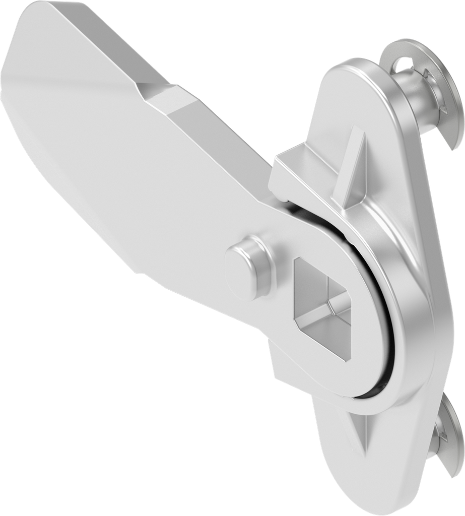 Cam, Stainless steel AISI 304; 1000-227 Offset h = 0 mm