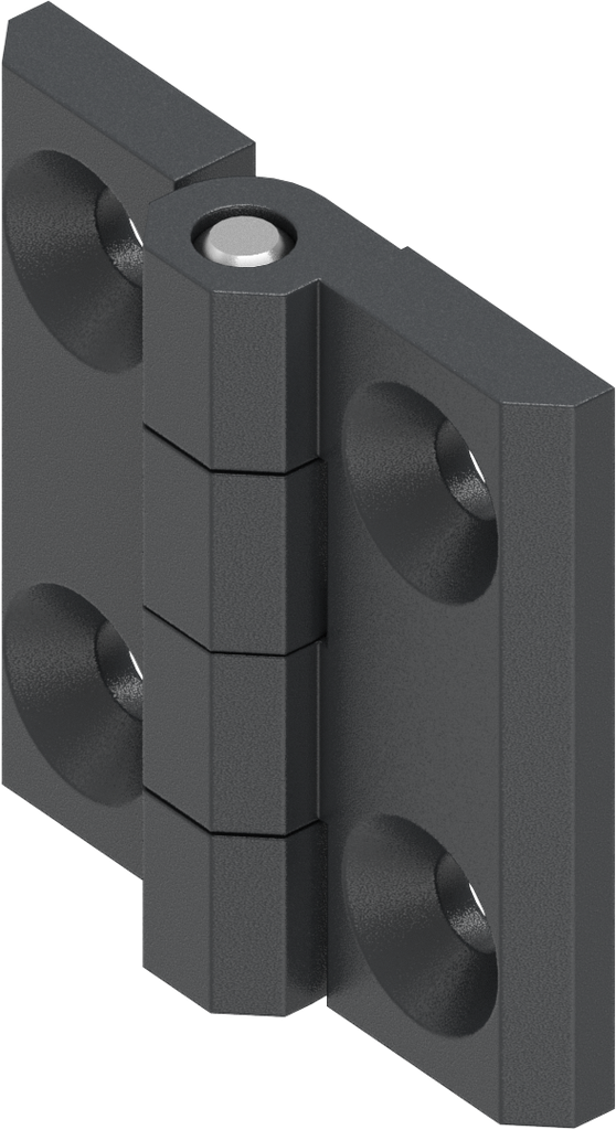 Charnière 180°, inox AISI 316 époxy noir graphite