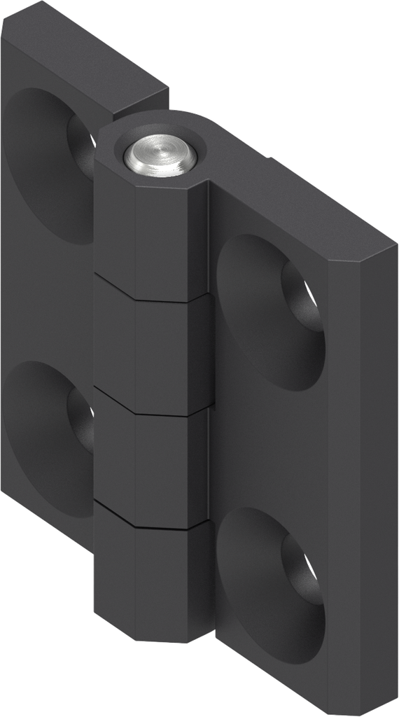 Charnière 180°, inox AISI 316 époxy noir