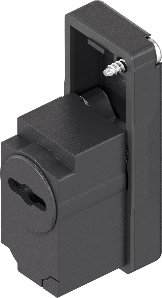 Locking set with insert FIAT, Polyamide GF black