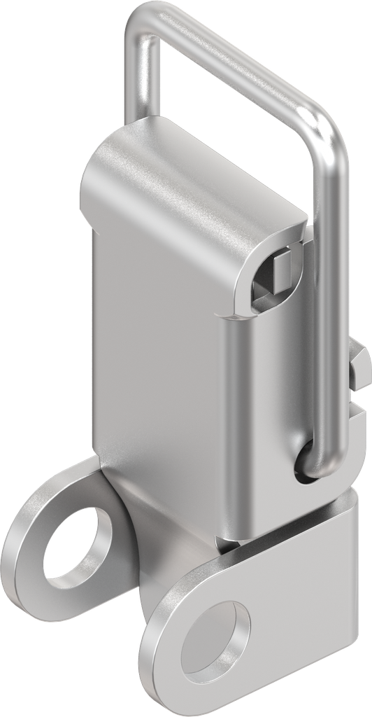 Spanslot met spanbeugel met oog voor hangslot, zonder montagegaten, RVS 304
