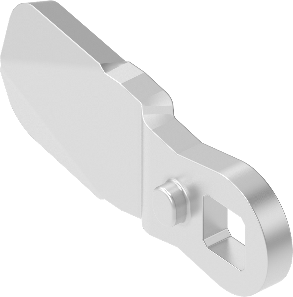 Zunge  H = 20, L = 45