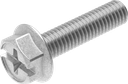 Borgschroef M6 x 25, Staal verzinkt