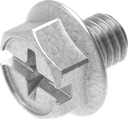 Sperrzahnschraube M5 x 6      