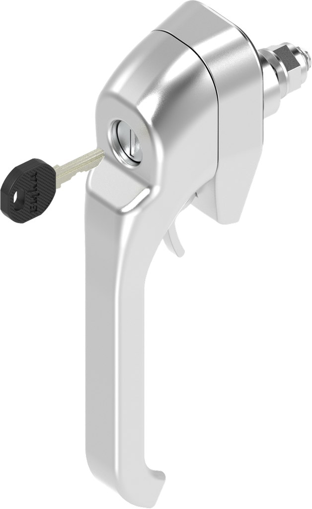 Chiusura a leva chiave EK 333 e per lucchetto, acciaio inox AISI 316