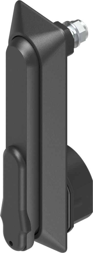 Schwenkgriff