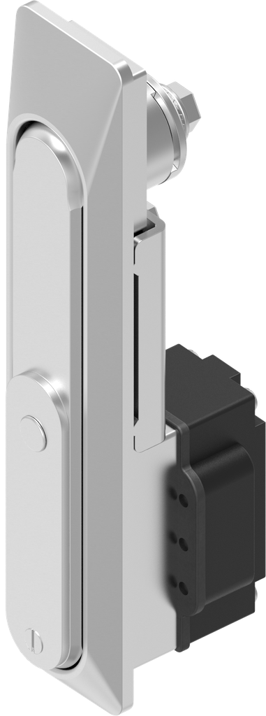 Schwenkgriff-Verschluss       