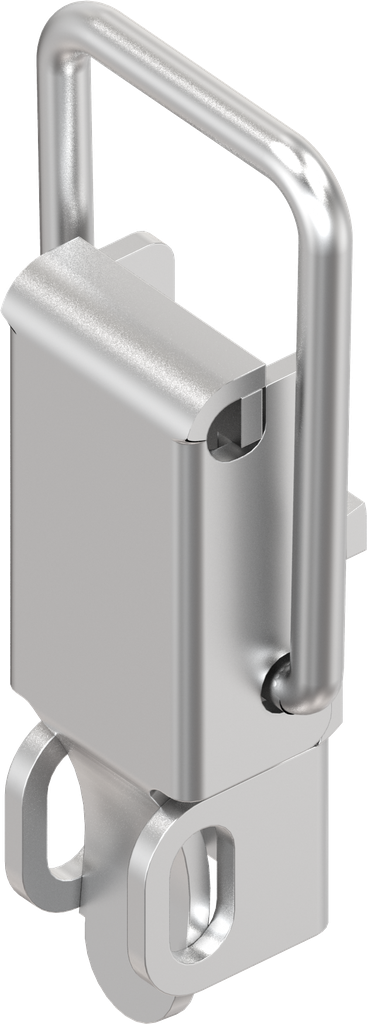 Spanslot met spanbeugel met oog voor hangslot, met montagegaten, RVS 304