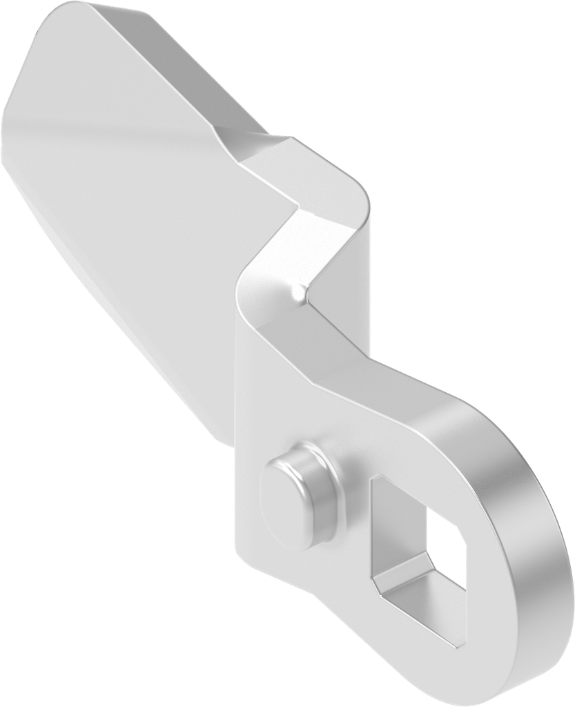 Zunge V4A 