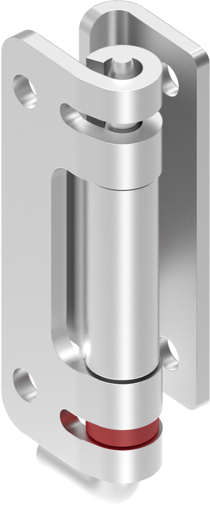 Acciaio Brunito - Finiture Metalliche Speciali Rivestimenti Lavorazioni - Foto 4